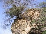 Thumbnail Image, Click to Enlarge thumb_IMG_1649.JPG