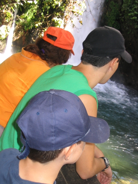 IMG_2991.JPG