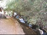 Thumbnail Image, Click to Enlarge thumb_IMG_2984.JPG
