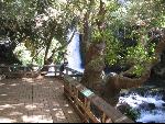 Thumbnail Image, Click to Enlarge thumb_IMG_2985.JPG
