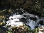 Thumbnail Image, Click to Enlarge thumb_IMG_2992.JPG