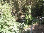 Thumbnail Image, Click to Enlarge thumb_IMG_2993.JPG
