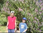 Thumbnail Image, Click to Enlarge thumb_IMG_3019.JPG
