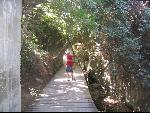 Thumbnail Image, Click to Enlarge thumb_IMG_3020.JPG