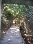 Thumbnail Image, Click to Enlarge thumb_IMG_3021.JPG