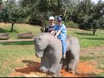 Thumbnail Image, Click to Enlarge thumb_IMG_3056.JPG