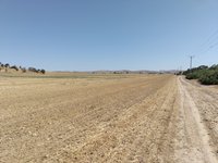 IMG_20260524_093930.jpg