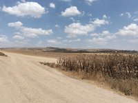 IMG_20260524_130024.jpg