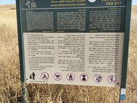 IMG_20260524_154404.jpg
