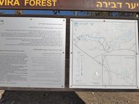 IMG_20260524_164926.jpg