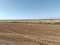 IMG_20260525_075033.jpg