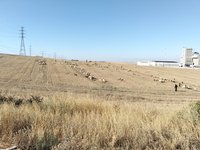 IMG_20260525_075753.jpg