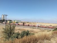 IMG_20260525_080147.jpg