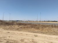 IMG_20260525_104451.jpg