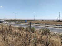 IMG_20260525_110329.jpg