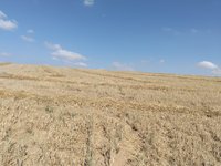 IMG_20260525_161822.jpg