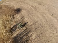 IMG_20260525_161826.jpg