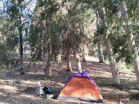 IMG_20260525_181441.jpg