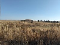 IMG_20260526_073857.jpg