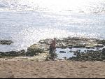 Thumbnail Image, Click to Enlarge thumb_IMG_1251.JPG