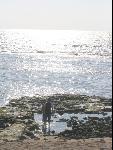 Thumbnail Image, Click to Enlarge thumb_IMG_1254.JPG
