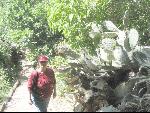 Thumbnail Image, Click to Enlarge thumb_IMG_1866.JPG