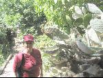 Thumbnail Image, Click to Enlarge thumb_IMG_1867.JPG