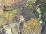 Thumbnail Image, Click to Enlarge thumb_IMG_1869.JPG