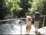 Thumbnail Image, Click to Enlarge thumb_IMG_1871.JPG