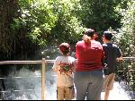 Thumbnail Image, Click to Enlarge thumb_IMG_1872.JPG