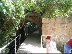 Thumbnail Image, Click to Enlarge thumb_IMG_1873.JPG