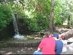 Thumbnail Image, Click to Enlarge thumb_IMG_1875.JPG