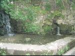 Thumbnail Image, Click to Enlarge thumb_IMG_1879.JPG