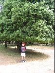 Thumbnail Image, Click to Enlarge thumb_IMG_1903.JPG