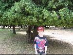 Thumbnail Image, Click to Enlarge thumb_IMG_1904.JPG