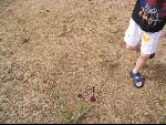 Thumbnail Image, Click to Enlarge thumb_IMG_1907.JPG