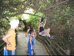 Thumbnail Image, Click to Enlarge thumb_IMG_1926.JPG