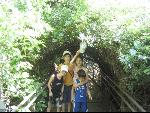 Thumbnail Image, Click to Enlarge thumb_IMG_1928.JPG