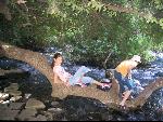 Thumbnail Image, Click to Enlarge thumb_IMG_1931.JPG
