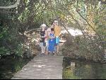 Thumbnail Image, Click to Enlarge thumb_IMG_1932.JPG