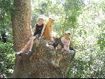 Thumbnail Image, Click to Enlarge thumb_IMG_1938.JPG
