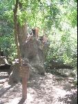 Thumbnail Image, Click to Enlarge thumb_IMG_1939.JPG