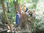 Thumbnail Image, Click to Enlarge thumb_IMG_1940.JPG