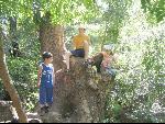 Thumbnail Image, Click to Enlarge thumb_IMG_1941.JPG