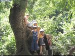 Thumbnail Image, Click to Enlarge thumb_IMG_1942.JPG