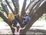 Thumbnail Image, Click to Enlarge thumb_IMG_1943.JPG
