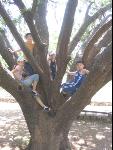 Thumbnail Image, Click to Enlarge thumb_IMG_1946.JPG