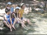 Thumbnail Image, Click to Enlarge thumb_IMG_1948.JPG