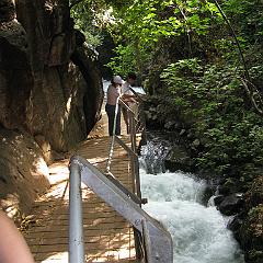 IMG_3502