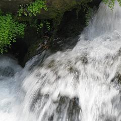 IMG_3506